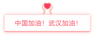 “中国加油、武汉加油”--京鲁党支部新形式主题党日活动(图4)