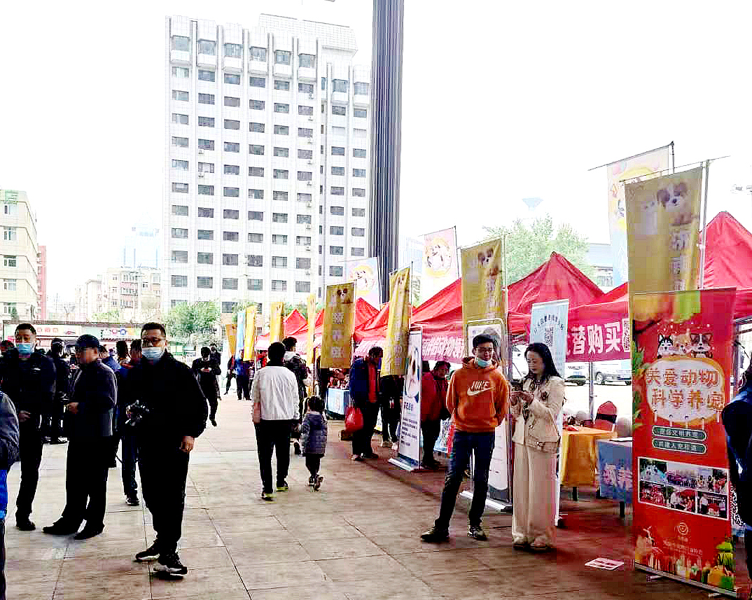 京鲁律师事务所与济南市文明养犬志愿服务协会建立公益合作关系(图4)